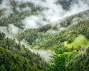 i14qtvs8itcfefulsk2l-4