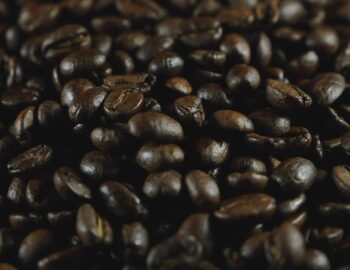 jobk5nodcnxos7t0myn4