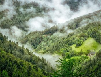 kaxulzagmvxa2dcdvpnh-1